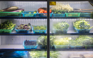 Vegetables in a commercial refrigerator